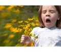 Лікування алергічного риніту в дітей:  стара проблема, нові рішення