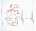 Характеристика серцевого ритму в дітей  із гастроезофагеальною рефлюксною хворобою