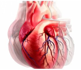 2021 Update to the 2017 ACC Expert Consensus Decision Pathway for Optimization of Heart Failure Treatment: Answers to 10 Pivotal Issues About Heart Failure With Reduced Ejection Fraction