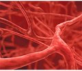 Когніції та хронічне порушення мозкового кровообігу (патологія дрібних судин)