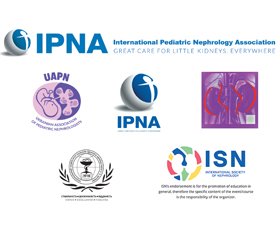 COURSE PROGRAM “Pediatric Nephrology care in war disasters. How to manage in martial law in different zones”. Annual 17th REENA™ (Renal Eastern Europe Nephrology Academy). CME hybrid online/offline Teaching Course