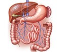 Problems of Surgical Correction for Congenital Malformations of the Gastrointestinal Tract in Children (Scientific Review)