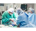 Future of Solid Organ Transplantation: Organ-Specific Tolerance