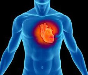 Современная роль корректоров метаболизма на примере мельдония при лечении хронических форм сердечно-­сосудистых заболеваний