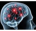 Відео запис вебінару «Старіння мозку. Неврологічні аспекти розвитку патології ЦНС »