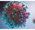 Патогенетично обґрунтована профілактика цереброваскулярних захворювань у хворих із коронавірусною інфекцією
