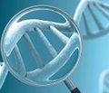 Американские ученые предложили  генетический метод диагностики всех видов рака