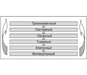 Адаптационный резерв организма больных с вегетативными нарушениями в структуре посттравматического и хронического воспалительного поражения центральной нервной системы на фоне снижения системного артериального давления (Аналитический обзор литературы. Часть II)