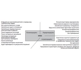 Perioperative management according to the principles of the program of rapid postoperative recovery (ERAS) in the prevention of acute bowel obstruction (a clinical lecture)