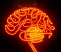 Brain Activity Map — новый масштабный проект по изучению мозга и его деятельности